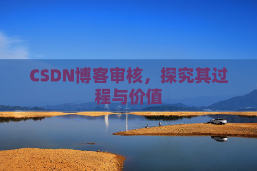 CSDN博客审核，探究其过程与价值